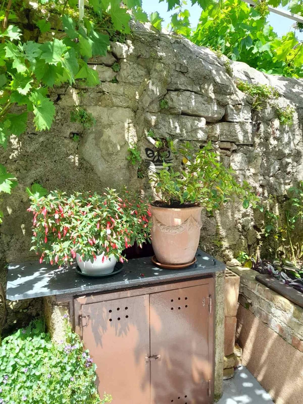 Apartment Krizanec Opatija Bagian luar foto